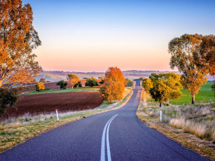 Картинка природа дороги дорога шоссе деревья осень поля