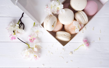 обоя еда, макаруны, лакомство, ассорти