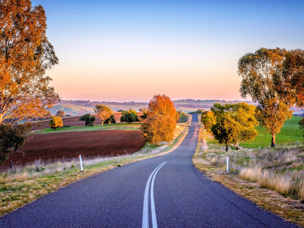 Обои картинки фото природа, дороги, дорога, шоссе, деревья, осень, поля