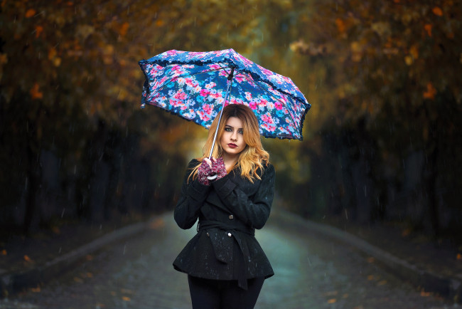 Обои картинки фото девушки, - блондинки,  светловолосые, блондинка, пальто, зонт, дождь, аллея, дорога, деревья, осень