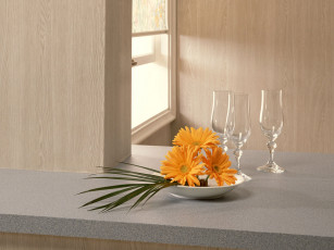 Картинка цветы герберы