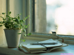 Картинка разное