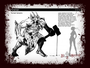 Картинка видео игры bloodrayne