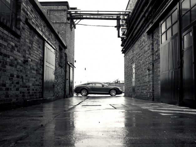 Обои картинки фото continental, автомобили, bentley