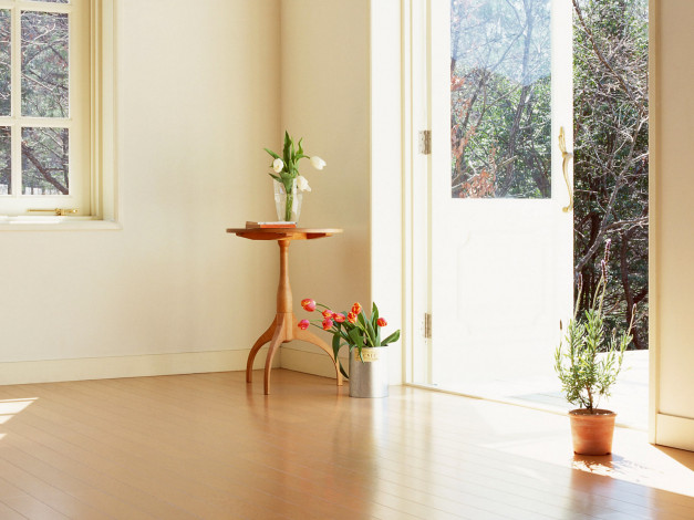 Обои картинки фото разное