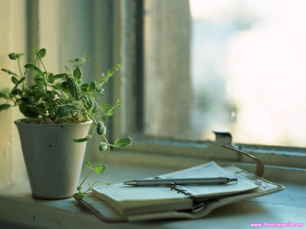 Обои картинки фото разное