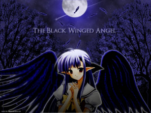 Картинка аниме shuffle