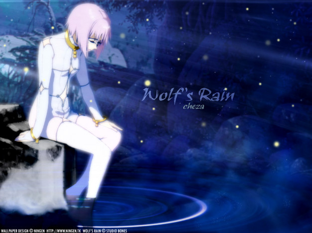Обои картинки фото аниме, wolf`s, rain