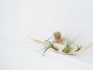 Картинка интерьер декор отделка сервировка