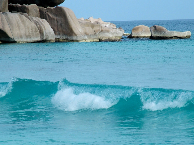 Обои картинки фото 