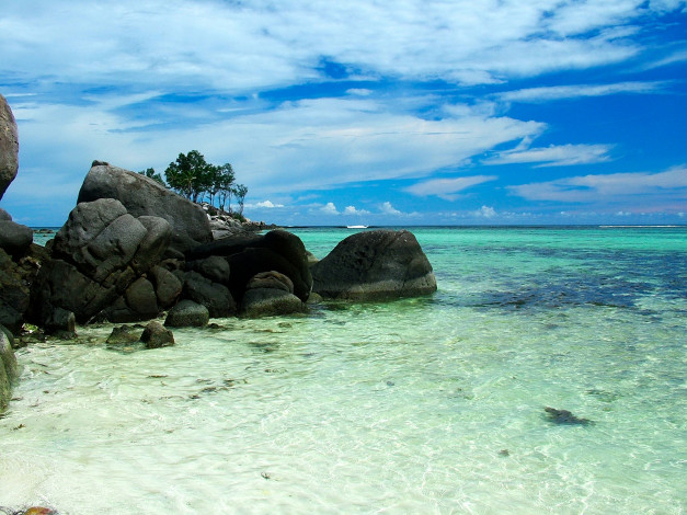 Обои картинки фото 