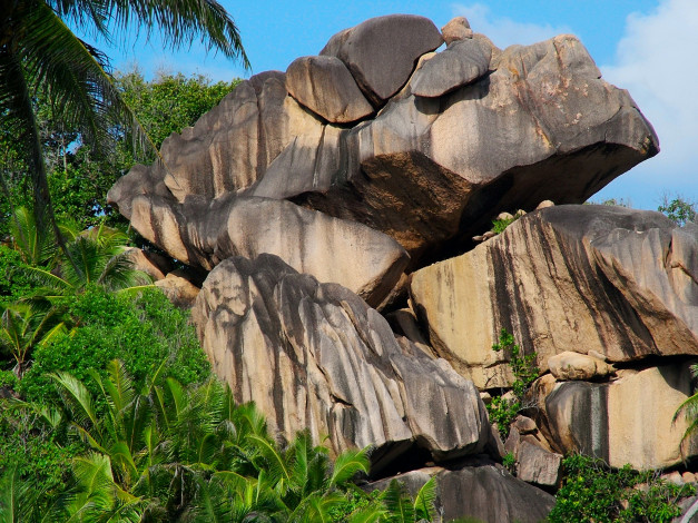 Обои картинки фото 