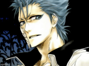 Картинка аниме bleach grimmjow