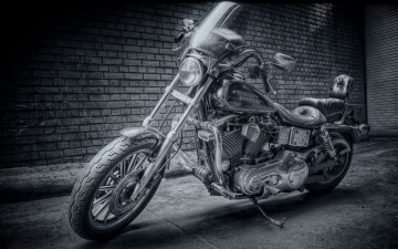 Картинка мотоциклы harley davidson