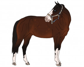 Картинка рисованные животные лошади лошадь