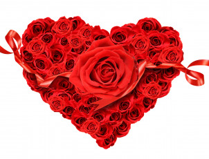 Картинка цветы розы сердце