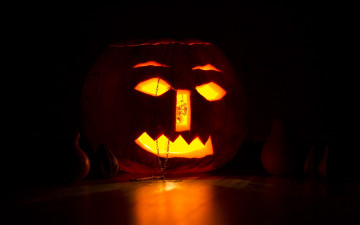 обоя праздничные, хэллоуин, тыква