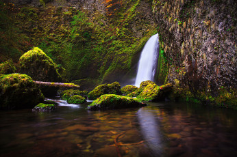 Картинка природа водопады лес река водопад