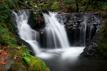 Картинка природа водопады лес река водопад