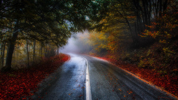 Картинка природа дороги path осень road colorful fall листья walk autumn trees park forest деревья colors leaves парк лес дорога nature