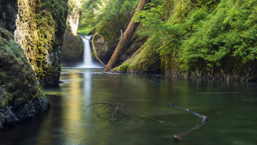 Картинка природа водопады лес река водопад