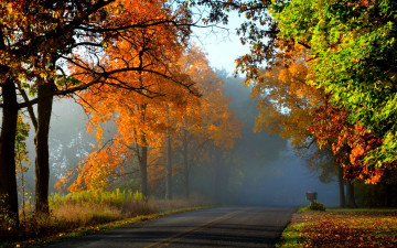 Картинка природа дороги nature forest park trees leaves colorful road path autumn fall colors walk листья осень деревья дорога лес парк