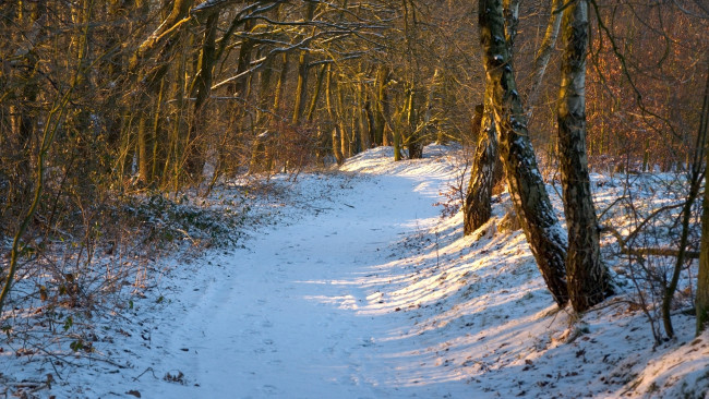 Обои картинки фото природа, дороги, снег, деревья