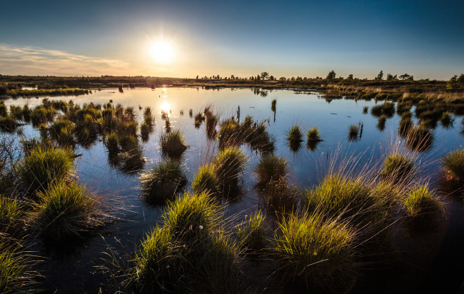 Обои картинки фото природа, восходы, закаты, трава, горизонт, заря, река