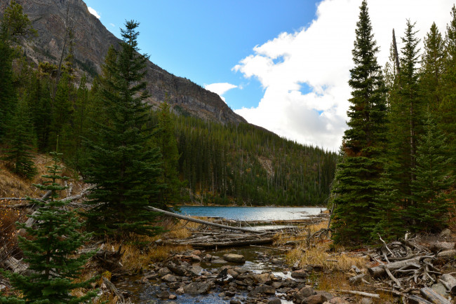 Обои картинки фото природа, реки, озера, озеро, лес, горы