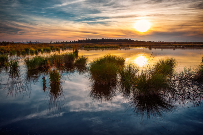 Обои картинки фото природа, восходы, закаты, заря, горизонт, трава, река