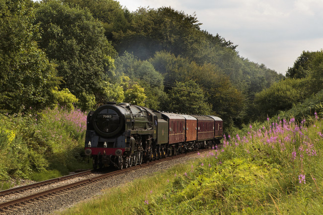 Обои картинки фото техника, паровозы, железная, дорога, паровоз