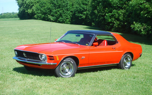 Обои картинки фото автомобили, mustang