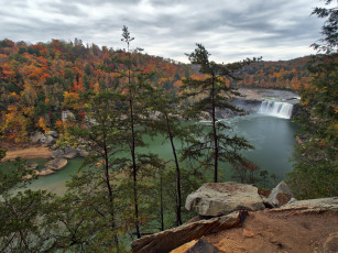 Картинка природа реки озера река лес