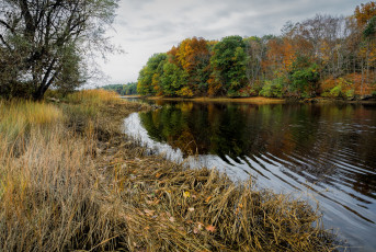 Картинка природа реки озера река лес