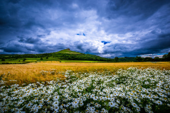 Картинка природа луга простор