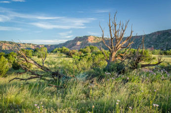 Картинка природа пейзажи простор