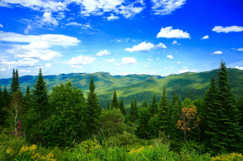 Картинка природа пейзажи простор