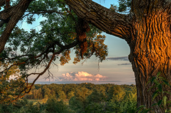 Картинка природа пейзажи простор