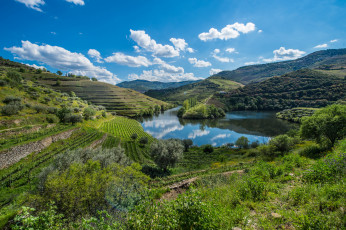 Картинка природа реки озера река лес