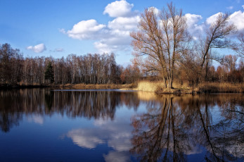 Картинка природа реки озера лес река