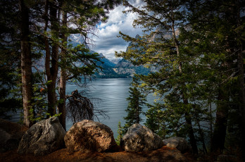 Картинка природа реки озера лес река