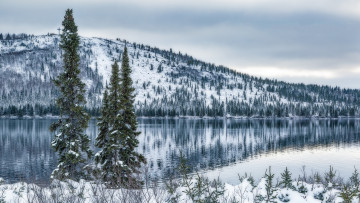 Картинка природа реки озера река лес