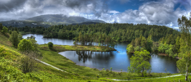 Обои картинки фото природа, реки, озера, река, лес