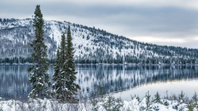 Обои картинки фото природа, реки, озера, река, лес