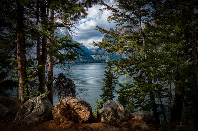 Обои картинки фото природа, реки, озера, лес, река