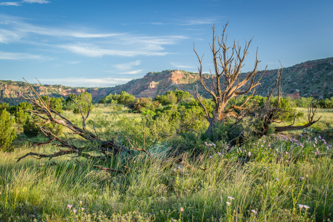 Обои картинки фото природа, пейзажи, простор