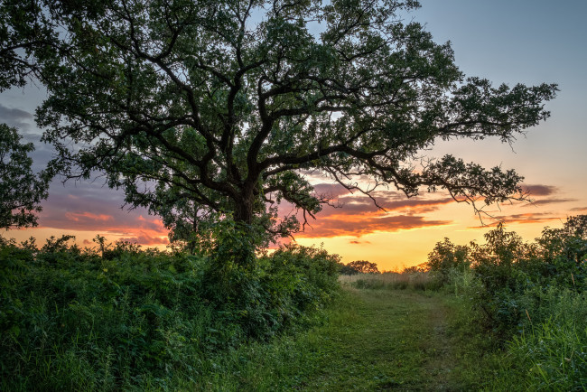 Обои картинки фото природа, дороги, рассвет