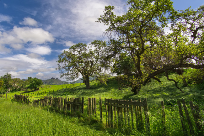 Обои картинки фото природа, пейзажи, простор