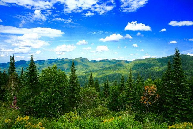 Обои картинки фото природа, пейзажи, простор