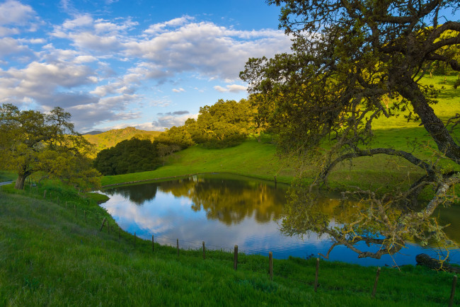 Обои картинки фото природа, реки, озера, река, лес